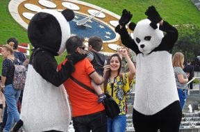 Animators in pandas costumes