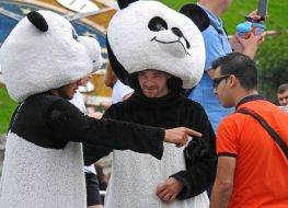 Animators in pandas costumes