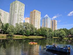 Presentation of flower beds on the water