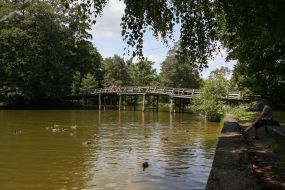 Мост в парке в Пуще-Водице