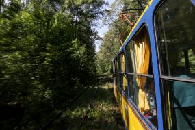 Трамвай на Пущу-Водицу