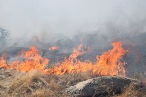 Extinguishing a large-scale fire