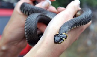 Girl holding a grip on her hands