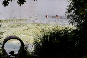Flowering of water in the Dnieper
