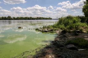 Flowering of water in the Dnieper