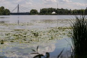 Flowering of water in the Dnieper