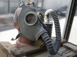 Opening of the exhibition "Breathe"