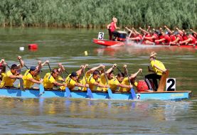 "Lion Cup-2017" on dragonbat