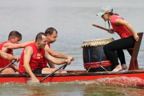 "Lion Cup-2017" on dragonbat