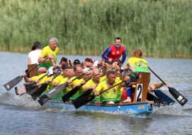 "Lion Cup-2017" on dragonbat