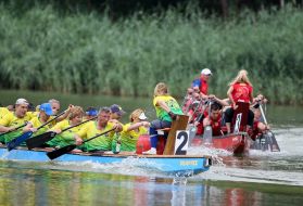 "Lion Cup-2017" on dragonbat