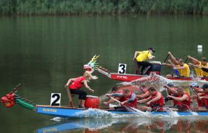 "Lion Cup-2017" on dragonbat