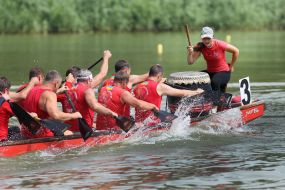 "Lion Cup-2017" on dragonbat