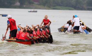 "Lion Cup-2017" on dragonbat