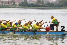 "Lion Cup-2017" on dragonbat