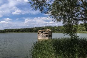 Long-term firing point