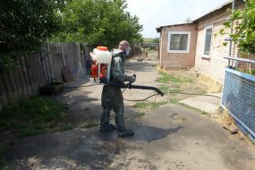 Disinfection of the yard