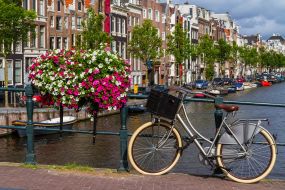 Bicycle and flowers 