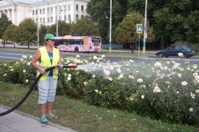 Watering of green plantations