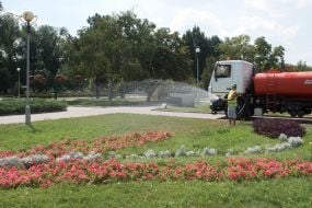 Watering of green plantations