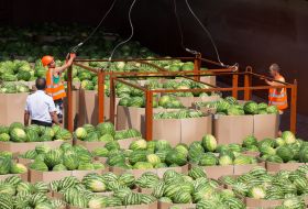 Barge with watermelons