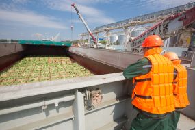 Barge with watermelons