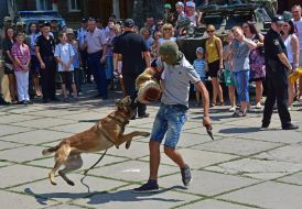 Demonstration of dog handlers