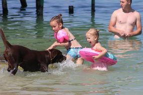 The dog is playing with the children