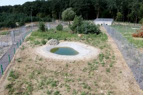 Construction of a bear shelter "Domazhyr"