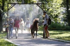 Рамка с распылителями воды  в Киеве