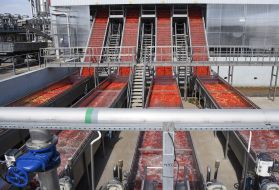 Фермерське господарство "Органік Сістемс"