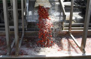 Фермерське господарство "Органік Сістемс"