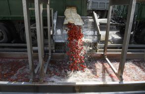 Фермерське господарство "Органік Сістемс"