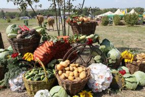 Vegetables