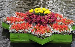 Floating flower beds