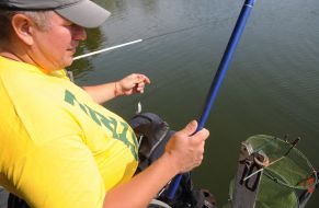 Championship of sport fishing