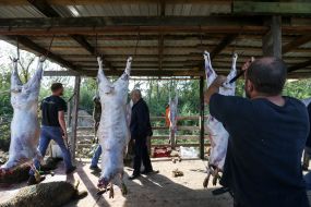 Обряд жертвопринесення