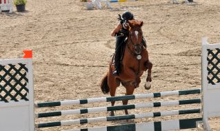 All-Ukrainian competition in jumping for the cup "Bavaria Motors 2017"