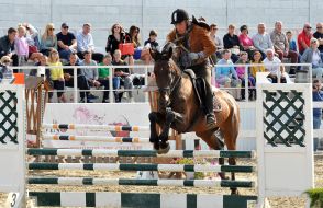 All-Ukrainian competition in jumping for the cup "Bavaria Motors 2017"