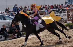 All-Ukrainian competition in jumping for the cup "Bavaria Motors 2017"