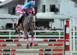 All-Ukrainian competition in jumping for the cup "Bavaria Motors 2017"