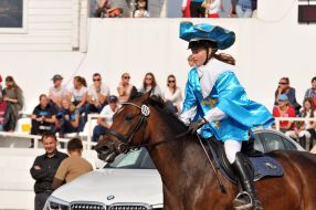 All-Ukrainian competition in jumping for the cup "Bavaria Motors 2017"