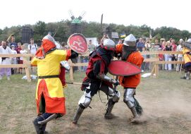 Festival "Pirogovskaya Battle"
