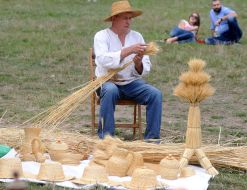 Festival "Pirogovskaya Battle"