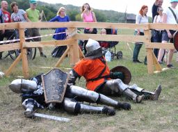 Festival "Pirogovskaya Battle"