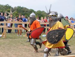 Festival "Pirogovskaya Battle"