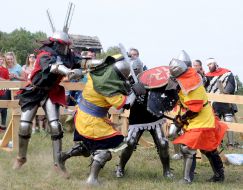Festival "Pirogovskaya Battle"
