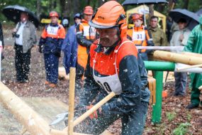 Participant of the competition