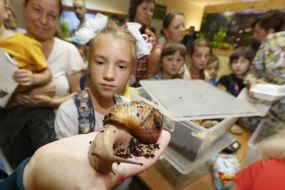 Виставка гігантських африканських сухопутних равликів