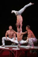 Acrobatic Quartet Room